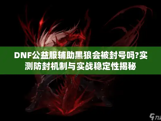 DNF公益服辅助黑狼会被封号吗?实测防封机制与实战稳定性揭秘