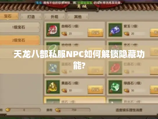 天龙八部私服NPC如何解锁隐藏功能?