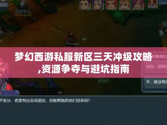 梦幻西游私服新区三天冲级攻略,资源争夺与避坑指南