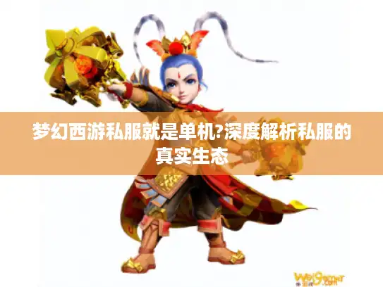 梦幻西游私服就是单机?深度解析私服的真实生态