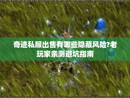 奇迹私服出售有哪些隐藏风险?老玩家亲测避坑指南 奇迹私服出售有哪些隐藏风险?老玩家亲测避坑指南