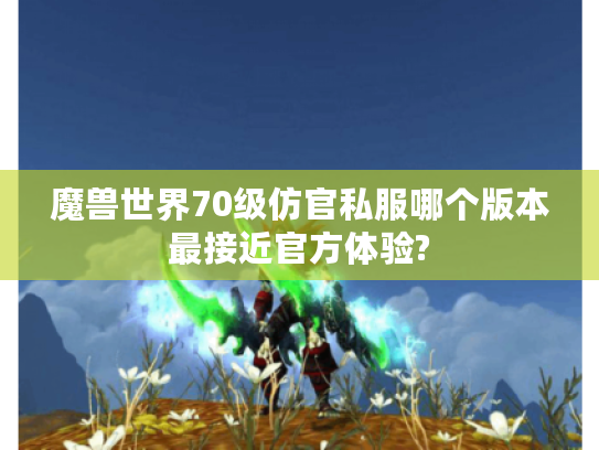 魔兽世界70级仿官私服哪个版本最接近官方体验?