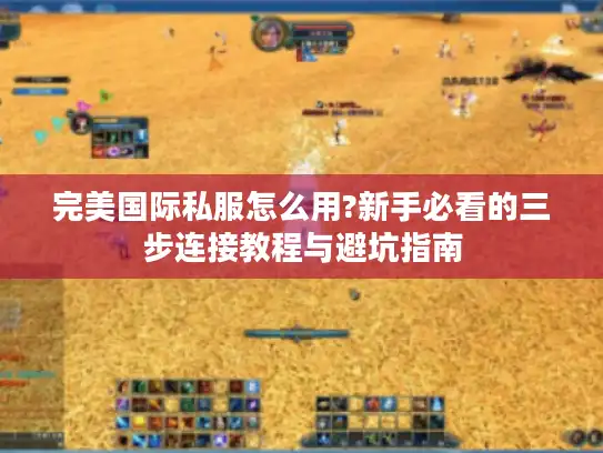 完美国际私服怎么用?新手必看的三步连接教程与避坑指南