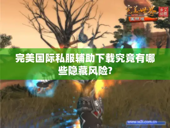 完美国际私服辅助下载究竟有哪些隐藏风险?