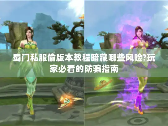 蜀门私服偷版本教程暗藏哪些风险?玩家必看的防骗指南