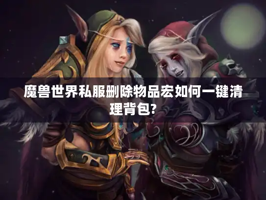 魔兽世界私服删除物品宏如何一键清理背包?