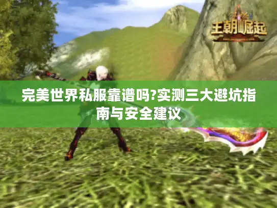完美世界私服靠谱吗?实测三大避坑指南与安全建议