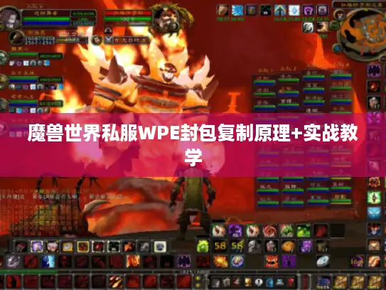 魔兽世界私服WPE封包复制原理+实战教学