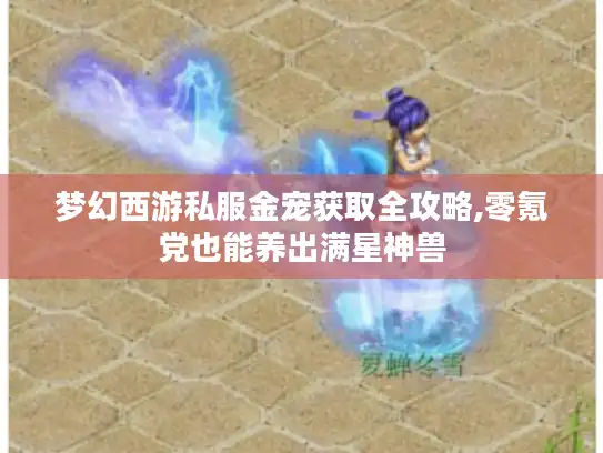 梦幻西游私服金宠获取全攻略,零氪党也能养出满星神兽