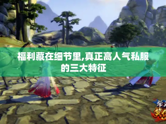 福利藏在细节里,真正高人气私服的三大特征