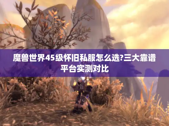 魔兽世界45级怀旧私服怎么选?三大靠谱平台实测对比