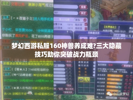 梦幻西游私服160神兽养成难?三大隐藏技巧助你突破战力瓶颈 梦幻西游私服160神兽养成难?三大隐藏技巧助你突破战力瓶颈