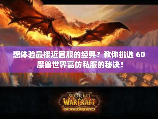 想体验最接近官服的经典？教你挑选 60 魔兽世界高仿私服的秘诀！