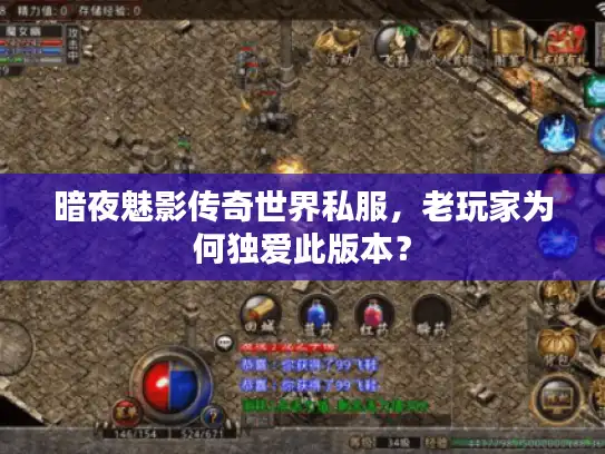 暗夜魅影传奇世界私服，老玩家为何独爱此版本？