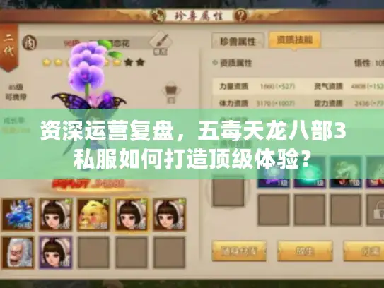 资深运营复盘，五毒天龙八部3私服如何打造顶级体验？