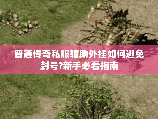 普通传奇私服辅助外挂如何避免封号?新手必看指南