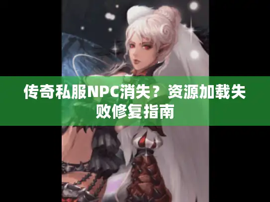 传奇私服NPC消失？资源加载失败修复指南