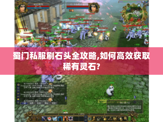 蜀门私服刷石头全攻略,如何高效获取稀有灵石? 蜀门私服刷石头全攻略,如何高效获取稀有灵石?