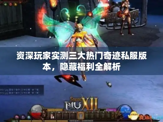 资深玩家实测三大热门奇迹私服版本,隐藏福利全解析 资深玩家实测三大热门奇迹私服版本,隐藏福利全解析