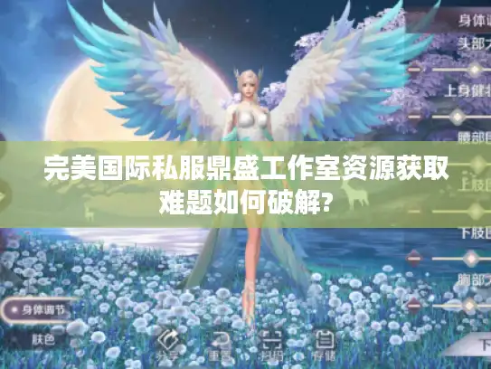 完美国际私服鼎盛工作室资源获取难题如何破解? 完美国际私服鼎盛工作室资源获取难题如何破解?