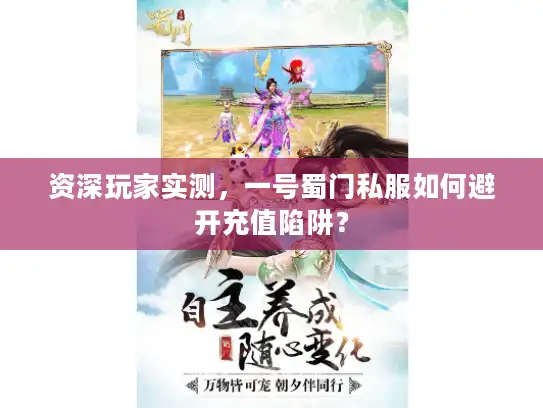 资深玩家实测，一号蜀门私服如何避开充值陷阱？