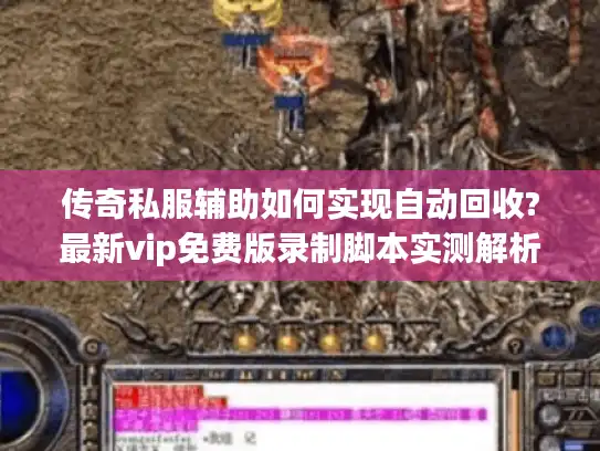 传奇私服辅助如何实现自动回收?最新vip免费版录制脚本实测解析