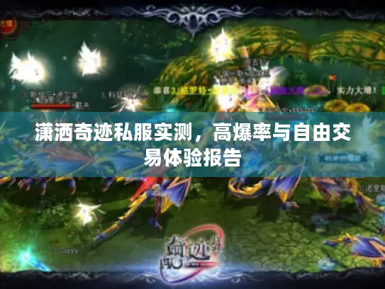 潇洒奇迹私服实测,高爆率与自由交易体验报告 潇洒奇迹私服实测,高爆率与自由交易体验报告