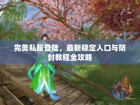 完美私服登陆，最新稳定入口与防封教程全攻略