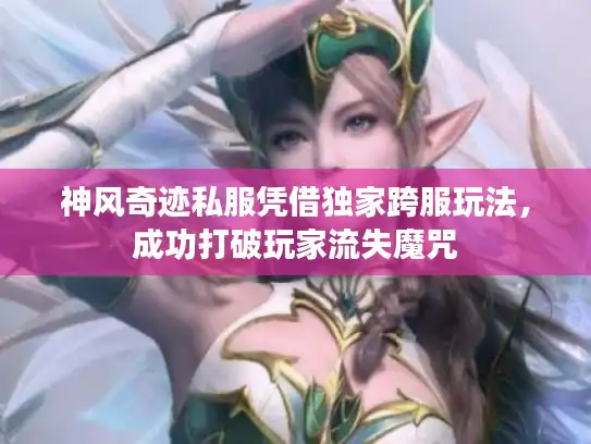 神风奇迹私服凭借独家跨服玩法，成功打破玩家流失魔咒