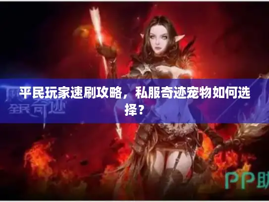 平民玩家速刷攻略，私服奇迹宠物如何选择？
