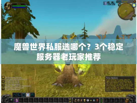 魔兽世界私服选哪个？3个稳定服务器老玩家推荐