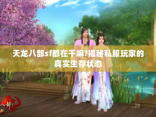 天龙八部sf都在干嘛?揭秘私服玩家的真实生存状态 天龙八部sf都在干嘛?揭秘私服玩家的真实生存状态