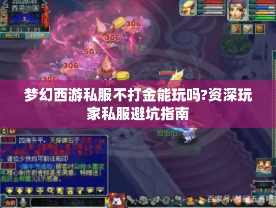 梦幻西游私服不打金能玩吗?资深玩家私服避坑指南