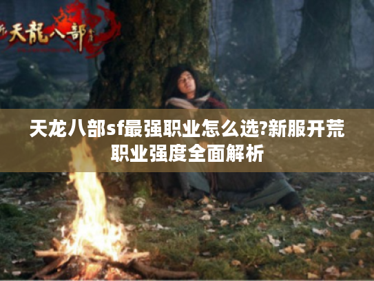 天龙八部sf最强职业怎么选?新服开荒职业强度全面解析
