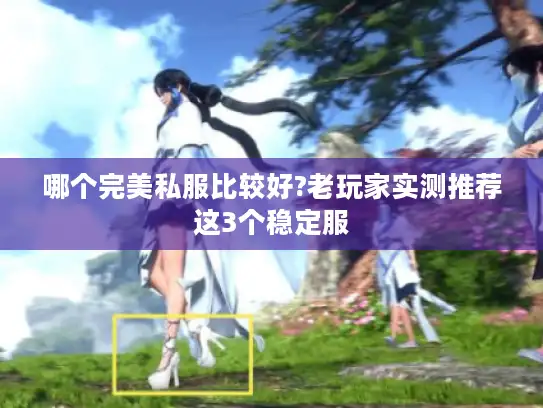 哪个完美私服比较好?老玩家实测推荐这3个稳定服