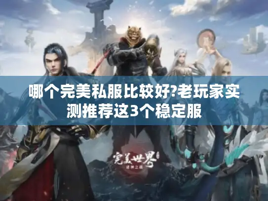 哪个完美私服比较好?老玩家实测推荐这3个稳定服