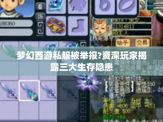 梦幻西游私服被举报?资深玩家揭露三大生存隐患