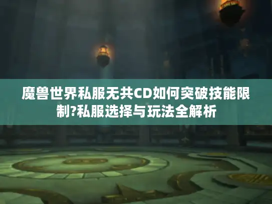 魔兽世界私服无共CD如何突破技能限制?私服选择与玩法全解析