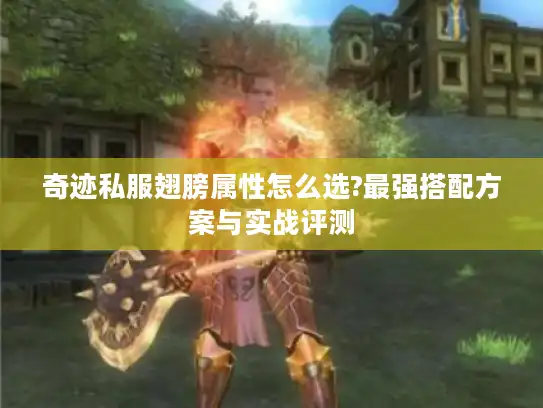 奇迹私服翅膀属性怎么选?最强搭配方案与实战评测