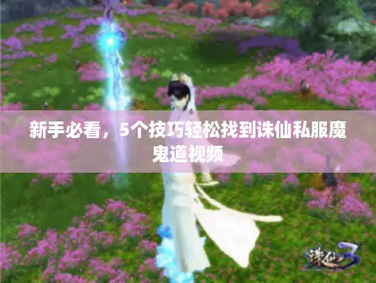 新手必看，5个技巧轻松找到诛仙私服魔鬼道视频