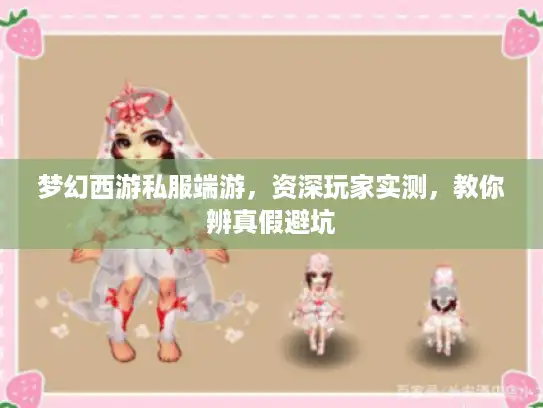 梦幻西游私服端游，资深玩家实测，教你辨真假避坑
