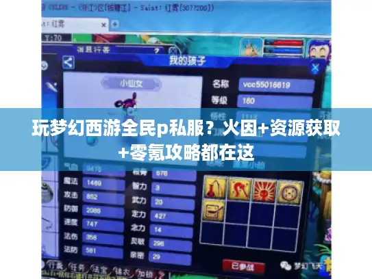 玩梦幻西游全民p私服？火因+资源获取+零氪攻略都在这