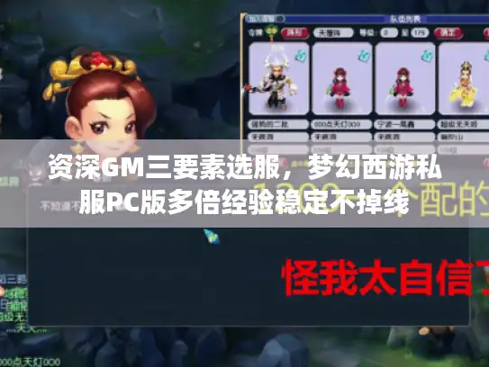 资深GM三要素选服，梦幻西游私服PC版多倍经验稳定不掉线