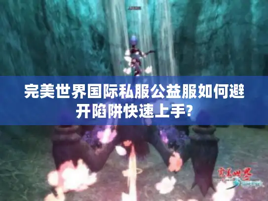 完美世界国际私服公益服如何避开陷阱快速上手?