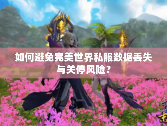 如何避免完美世界私服数据丢失与关停风险？