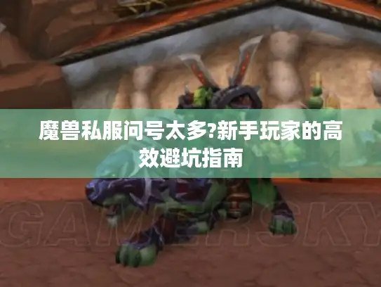 魔兽私服问号太多?新手玩家的高效避坑指南