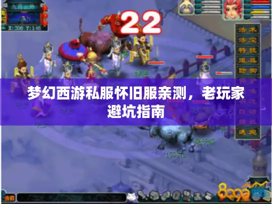 梦幻西游私服怀旧服亲测，老玩家避坑指南