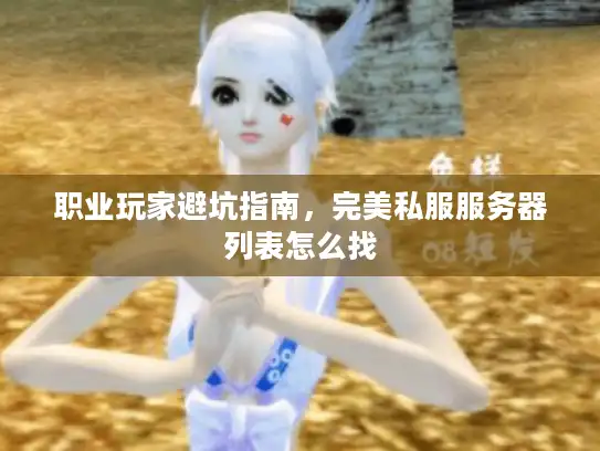 职业玩家避坑指南，完美私服服务器列表怎么找