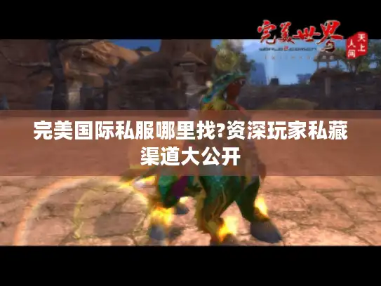 完美国际私服哪里找?资深玩家私藏渠道大公开 完美国际私服哪里找?资深玩家私藏渠道大公开