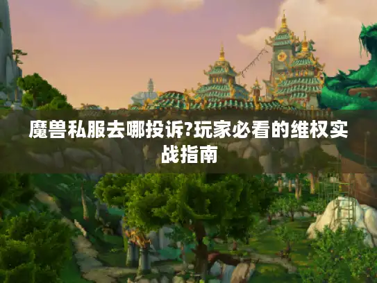 魔兽私服去哪投诉?玩家必看的维权实战指南